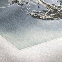 Cargar imagen en el visor de la galería, Museum Etching 350 g _HAHNEMÜHLE
