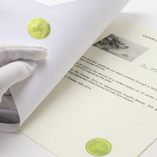 Cargar imagen en el visor de la galería, Certificados de autenticidad