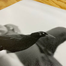 Cargar imagen en el visor de la galería, Papel Photo, Satin Aperlado